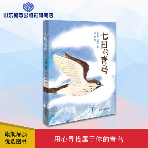 七日的青鸟（林秀穗 廖健宏 著） 商品图0