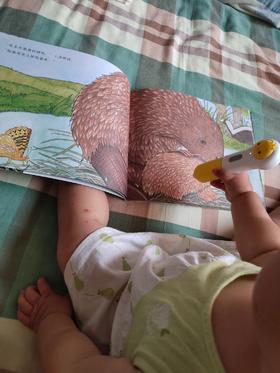 《爸爸的拥抱》：整本书都非常的温馨而又美好