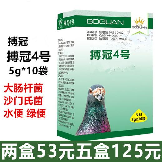 【肠利宁】原【搏冠四号】4号粉5g×10袋，顽固性腹泻/肠道沙门氏大肠杆菌（博冠） 商品图1