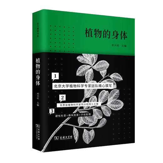 北大植物书系丨《植物的身体》+《植物与食物》+《植物的私生活》组成一座活色生香的纸上植物馆 商品图4