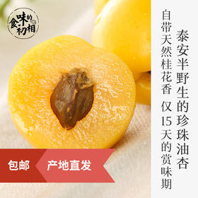 6月13日上新 | 梅实雨（618第二波活动开启）