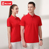 polo衫定制t恤文化广告衫印logo刺绣短袖翻领工衣定做企业工作服 商品缩略图1