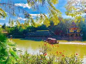 暑假游学：西双版纳亲子旅拍，专业讲解， 夜游植物园，探索热带雨林