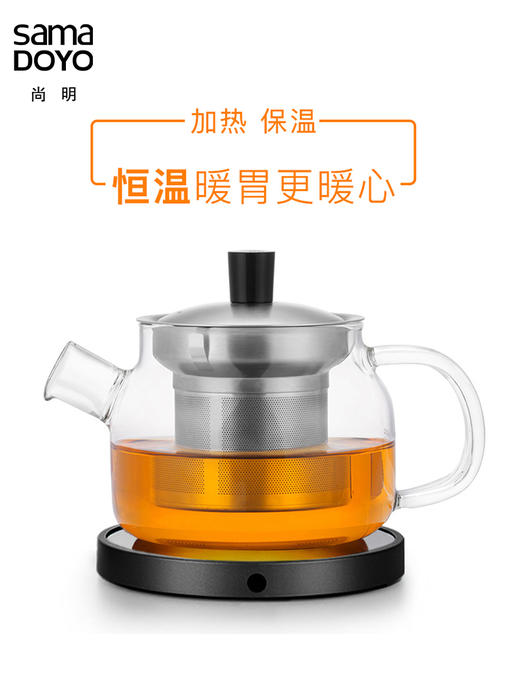 澜沧古茶健康壶470ml玻璃茶壶加厚耐热玻璃不锈钢内胆过滤 泡茶器 商品图1