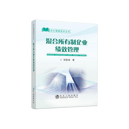 混合所有制企业绩效管理/张耿城 商品图0