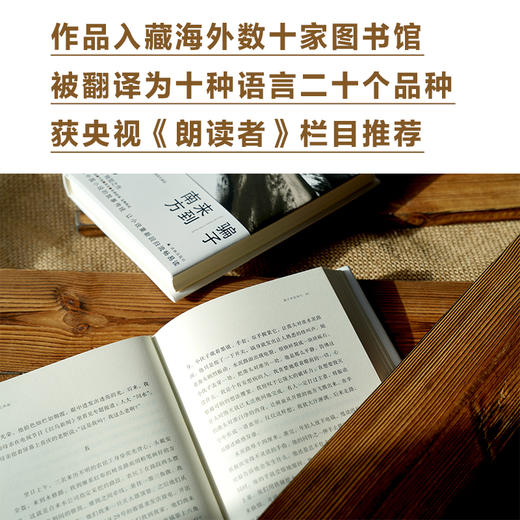 骗子来到南方 商品图3