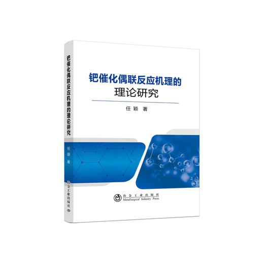 钯催化偶联反应机理的理论研究/任颖 商品图0