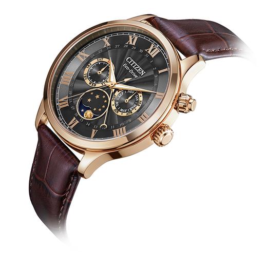 西铁城日本官方正品光动能月相盈亏月份星期日历男表AP1059-19E 商品图2