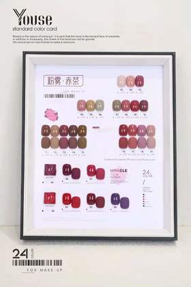 NISI 24色系列粉雾赤茶