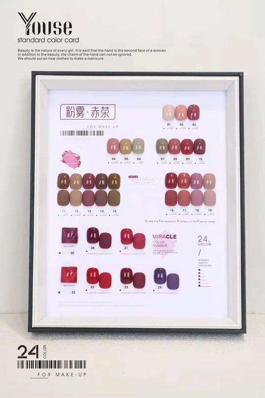 NISI 24色系列粉雾赤茶 商品图0