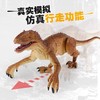 暴走迅猛龙遥控会走路发光仿真动物 商品缩略图3