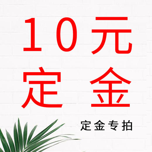 10元定金专拍 商品图0