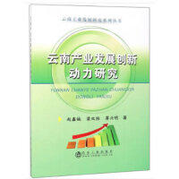 云南产业发展创新动力研究\赵鑫铖,梁双陆,蒋兴明 商品图0