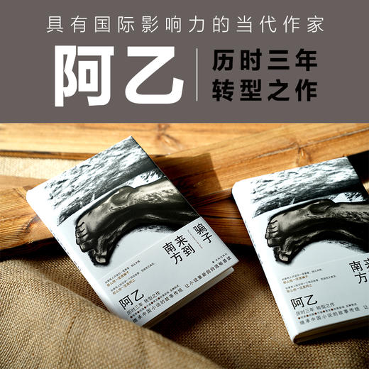 骗子来到南方 商品图0