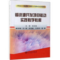 铜资源开发项目驱动实践教学教程\吴彩斌