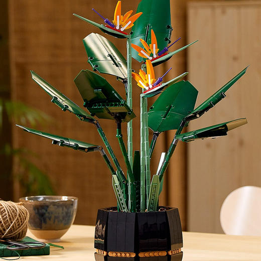 乐高10289天堂鸟 商品图3