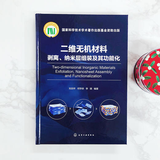 二维无机材料剥离、纳米层组装及其功能化 商品图2