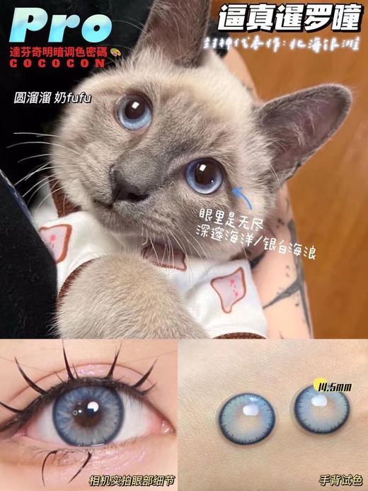 猪蹄/猪有蹄同款美瞳‼️ cococon 美瞳年抛  北海银滩「328」 商品图5