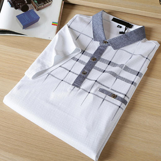 【服饰鞋包】POLO衫男夏季薄款格纹垂感T恤男中青年商务男装XT706 商品图1