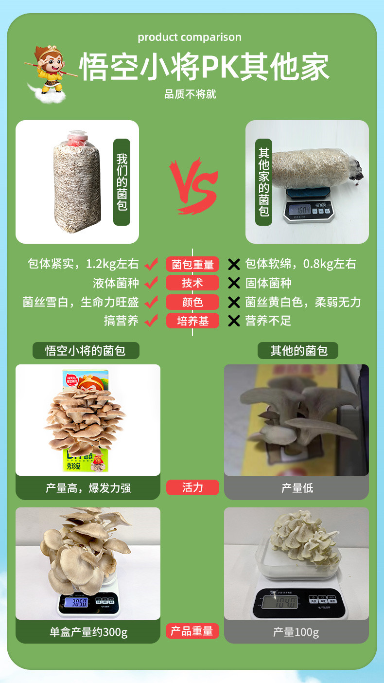 详情页 (13)_副本.jpg