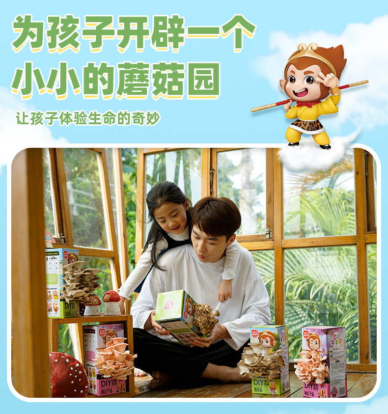 详情页 (3)_副本.jpg