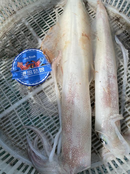 & 手钓大钓管🦑自然鲜脆甜😋东山岛名片 必尝👍活冻 商品图3
