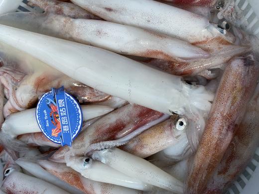 东山岛大钓管！减脂期好搭档 又鲜又脆。白灼葱油都很好吃，又甜又弹！低脂高蛋白【新鲜活冻】 商品图3