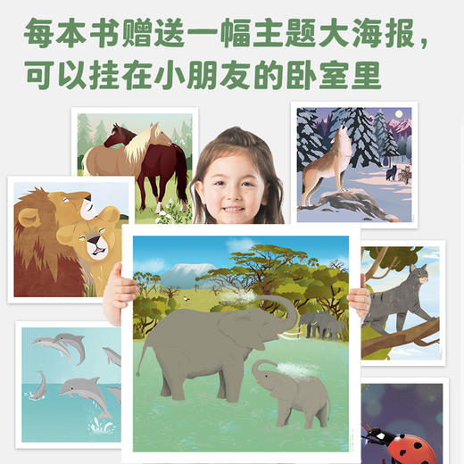 【全七册】动物的生活 狼、狮子、海豚、马、大象、瓢虫、猫 3-6岁儿童自然通识类野生动物朋友科普绘本童书籍阅读 商品图4