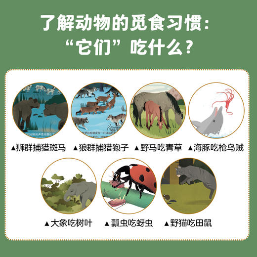 【全七册】动物的生活 狼、狮子、海豚、马、大象、瓢虫、猫 3-6岁儿童自然通识类野生动物朋友科普绘本童书籍阅读 商品图2