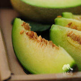 有机网纹瓜 | 合作生产 * Organic Honeydew melon | Coproduction