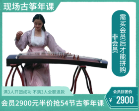 会员2900元【拼团】抢48节送6节现场【古筝】年课