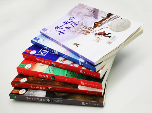 【适合6-12岁】世界青少年大奖小说·第三辑（全6册）六大成长主题，塑造孩子积极健康的人生价值观 启发式引导 提升孩子写作水平和语文素养 商品图11