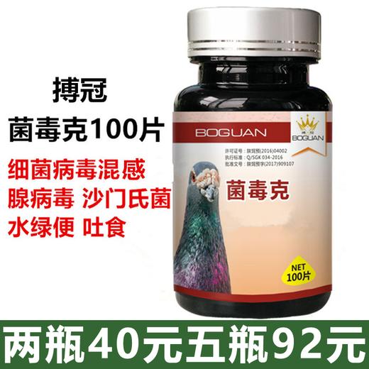 【菌毒克】100片，腺病毒克星/赛鸽细菌病毒感染（搏冠） 商品图0