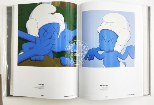 Original Fake  KAWS  Brian Donnelly 商品图1