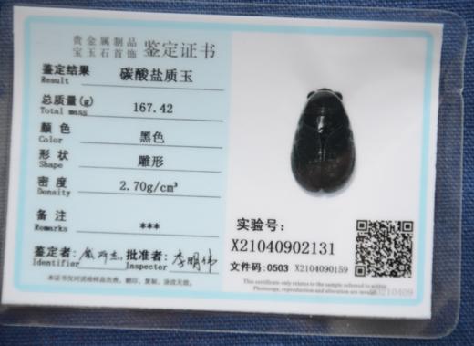 【蝉（一鸣惊人）】 商品图4