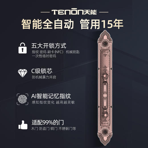 亚太天能别墅豪宅指纹锁F8双开锁欧式古典智能门锁 商品图1