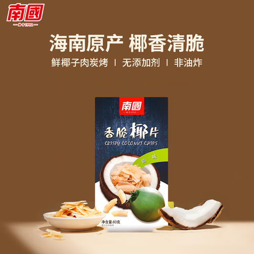 【整箱批发】 南国食品 香脆椰子片60gx24 商品图0