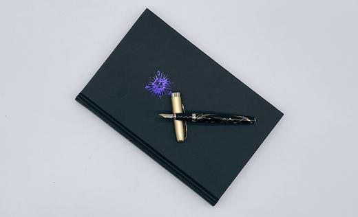 南希·米特福德“非虚构类作品”系列 商品图2