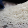 山泉农家福米5kg 当季新米籼米广东特产农家大米香米 商品缩略图2