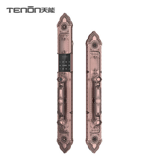 亚太天能别墅豪宅指纹锁F8双开锁欧式古典智能门锁 商品图6