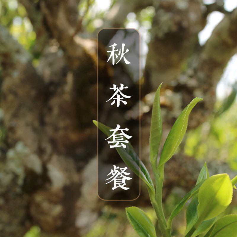 秋季收茶 茶样套餐 （白龙须20g+寻梅20g+衡字饼20g）