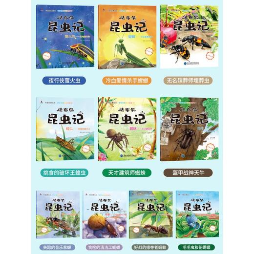 科普启蒙绘本(全10册) 商品图2