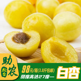 新疆轮台小白杏