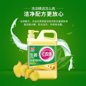红玫瑰洗洁精1.5KG（生姜） 商品图3