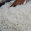 粒粒福象牙油粘米15kg 南方大米香甜油粘米当季新鲜籼米 商品缩略图3