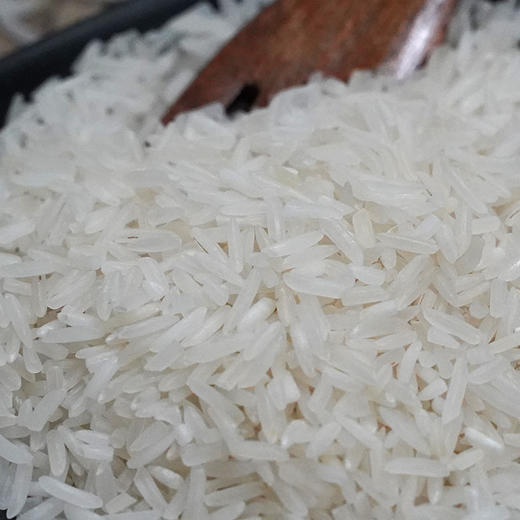 粒粒福象牙油粘米15kg 南方大米香甜油粘米当季新鲜籼米 商品图3