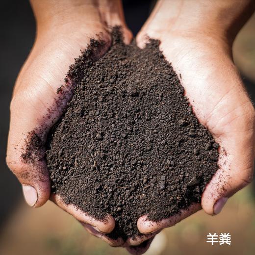 有机肥 | 羊粪  蚯蚓粪  量多优惠 | 新农人福利 | 包邮 | *Organic fertilizer 商品图1