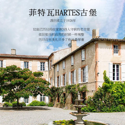 【近10年斩获21个国际大奖】玛佐城堡系列干红葡萄酒 波尔多AOC 13.5%vol 商品图4