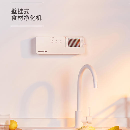 韩国大宇果蔬净化清洗机（一代） 商品图0