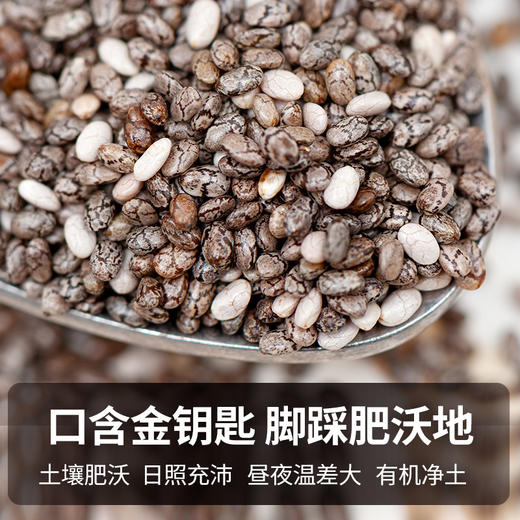 福东海 奇亚籽160克 杂粮即食冲饮早餐代餐搭配谷物燕麦片 商品图2